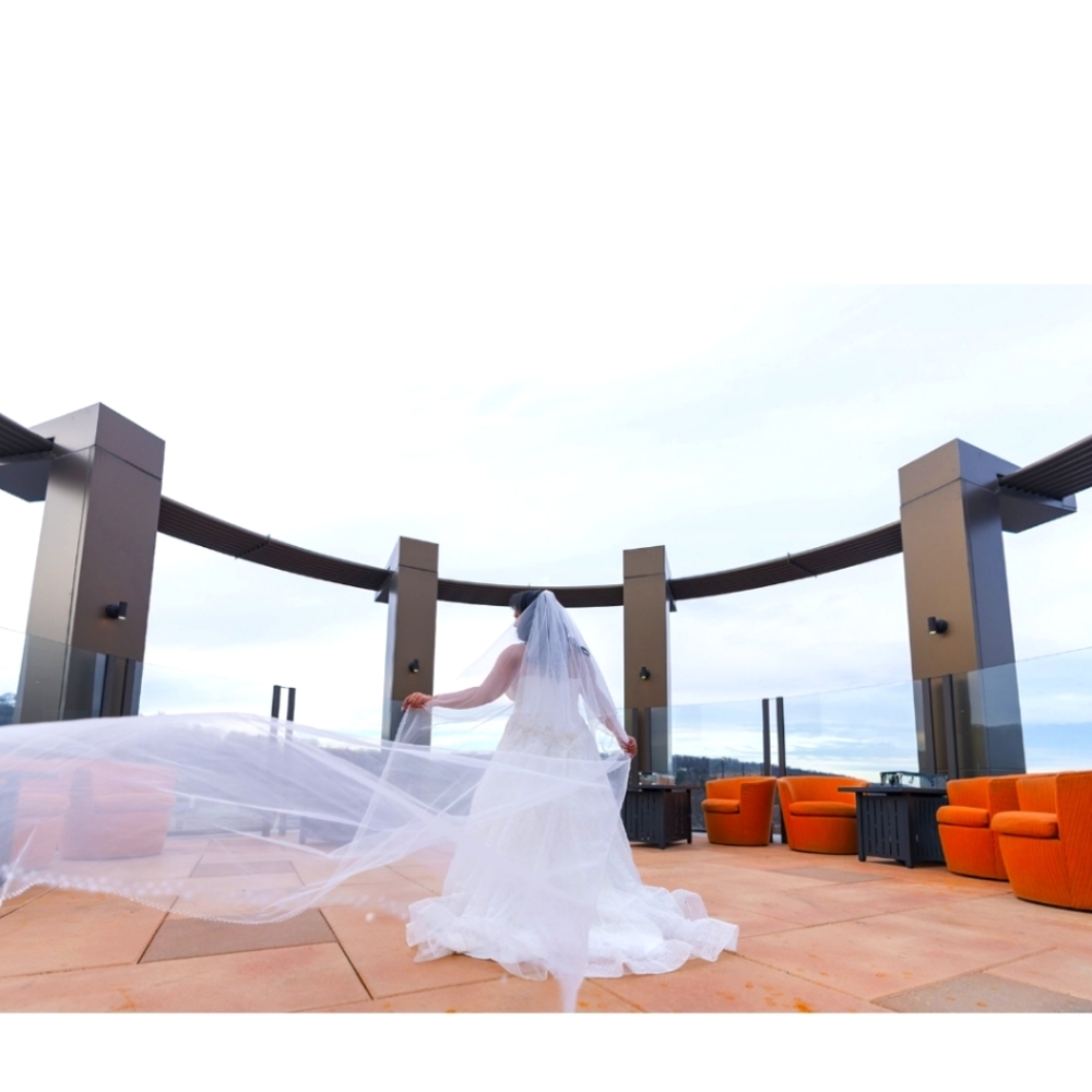 Wedding Dress/ Gown
